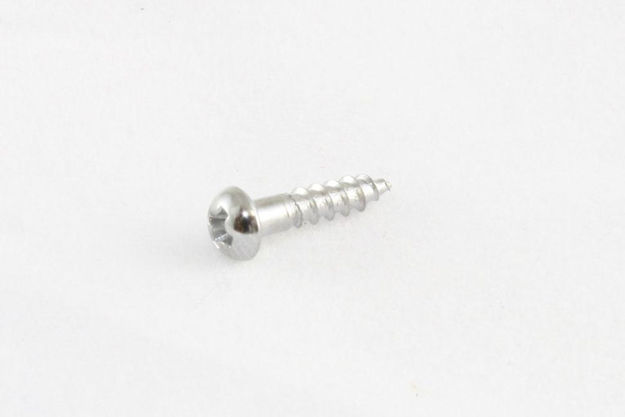 All Parts GS-3376-B10 Bulk Pack of 100 Chrome Small Tuner Screws