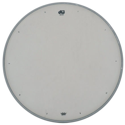 Drum Workshop Snare drum head White coated - 12"
