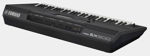 RYDDESALG | Yamaha PSR-SX900 Digital Keyboard