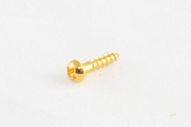 All Parts GS-3376-002 Pack of 16 Gold Small Tuner Screws