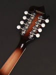Richwood RMF-60 Master Series Mandolin Vintage Sunburst