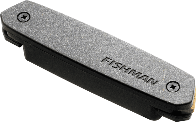 Fishman PRO-NEO-D01