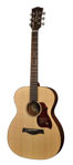 Richwood A-20E Master Series 000