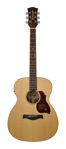 Richwood A-20E Master Series 000