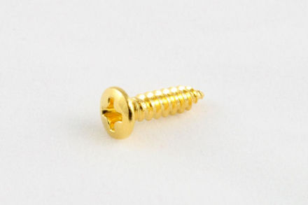 All Parts GS-0001-B02 Bulk Pack of 100 Gold Pickguard Screws