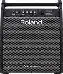 Roland PM-200 PERSONAL MONITOR