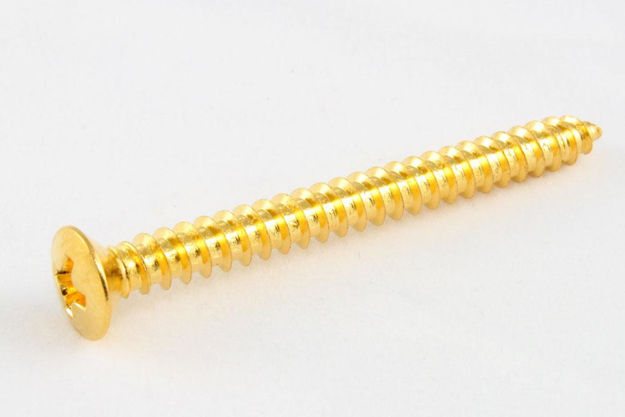 All Parts Pack of 4 Gold Neckplate Screws