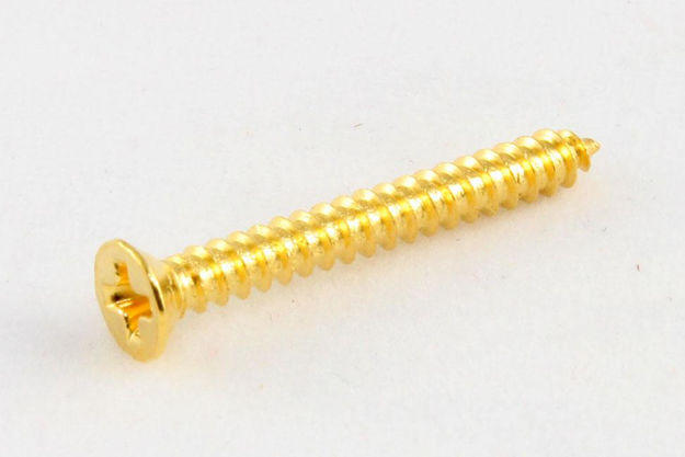 All Parts GS-0008-B02 Bulk Pack of 100 Gold Humbucking Ring Screws