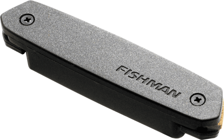 Fishman PRO-NEO-D02