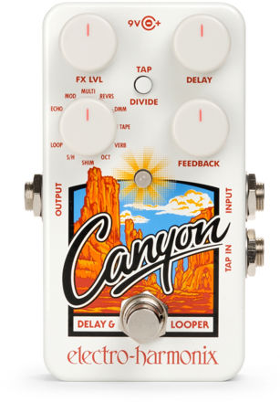 Electro-Harmonix CANYON Delay and Looper, 9.6DC-200 PSU included