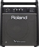 Roland PM-100 PERSONAL MONITOR