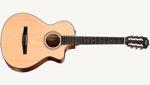 Taylor 312ce-N