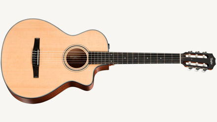 Taylor 312ce-N