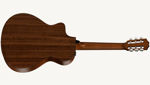 Taylor 312ce-N