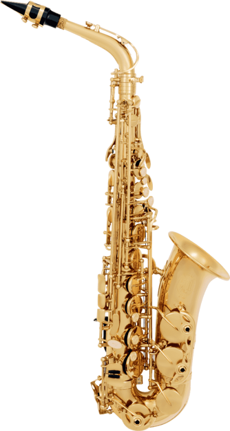 SML Paris Saxophone alto débutant verni A300