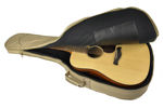 Richwood Master Series Deluxe Gigbag D/G-Shape