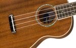 Fender Zuma Concert Ukulele