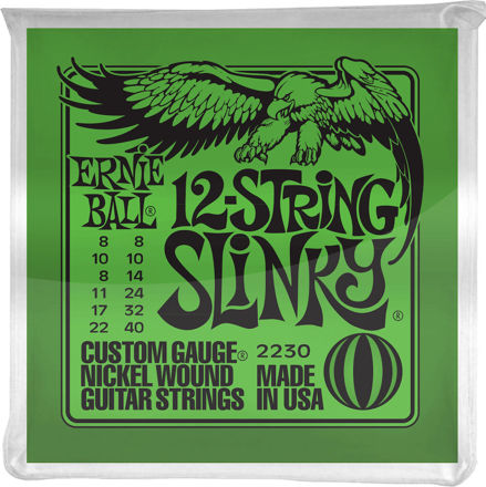 Ernie Ball EB-2230 12-STR-Slinky Nickel