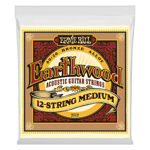 Ernie Ball EB-2012 Earthwood 12STR-MED