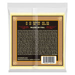 Ernie Ball EB-2012 Earthwood 12STR-MED