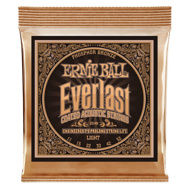 Ernie Ball EB-2548 Everlast PSB LIGHT
