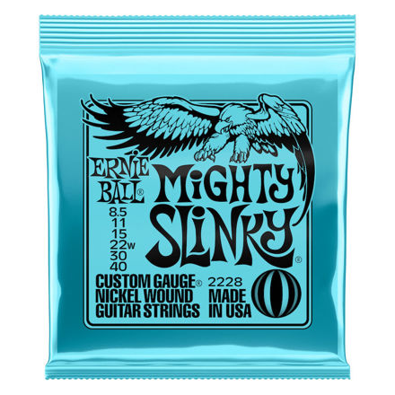 Ernie Ball EB-2228