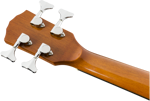 Fender CB-60SCE Bass