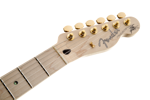 Fender Richie Kotzen Telecaster®