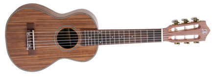 Morgan CG 10 GUK GUITARLELE N