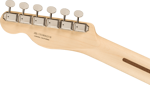 Fender American Performer Telecaster® Hum