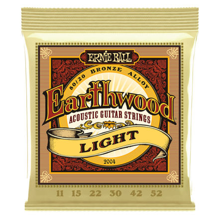 Ernie Ball EB-2004 Earthwood LIGHT