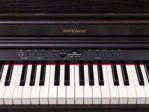 Roland RP701-DR