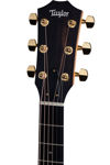 Taylor 214ce,Rosewood/Spruce,LH