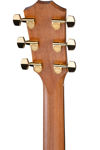 Taylor 214ce,Rosewood/Spruce,LH