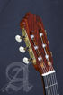 Alhambra Guitarras LINEA PROFESIONAL +CASE (9650)