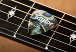 Taylor Celluloid 351 Picks, Abalone, 0.46mm, 12-Pack