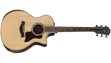 Taylor 814ce Grand Auditorium Cutaway
