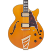 D'Angelico Guitars EXCEL SS