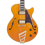 D'Angelico Guitars EXCEL SS