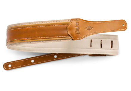 TaylorWare 4112-25 Taylor Reflections Strap,Palamino Leather,2.5"