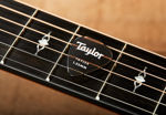 Taylor Premium 351 Taylex® Picks, Smoke Grey, 1.25mm, 6-Pack