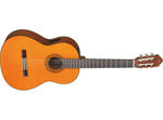 Yamaha CGX102A
