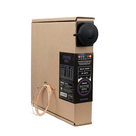 Daddario Fretted EJ26-B25