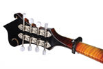 D'Addario Banjo/Mandolin Pro Capo
