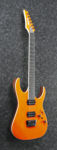 Ibanez RGR5221-TFR