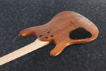 Ibanez S521-MOL