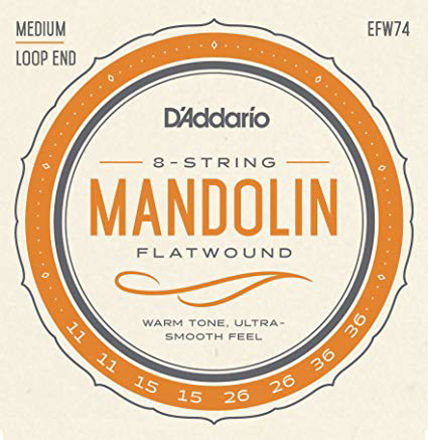 D'Addario EFW74 Flatwound Mandolin Strings, Stainless Steel, Medium, 11-36