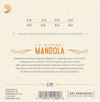 D'Addario EJ76 Phosphor Bronze Mandola Strings, Medium, 15-52