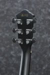 Ibanez AEG50-BK