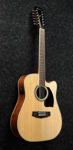 Ibanez PF1512ECE-NT
